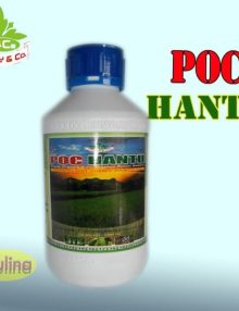 Kerjasama Usaha Pupuk dengan Menjadi Distributor